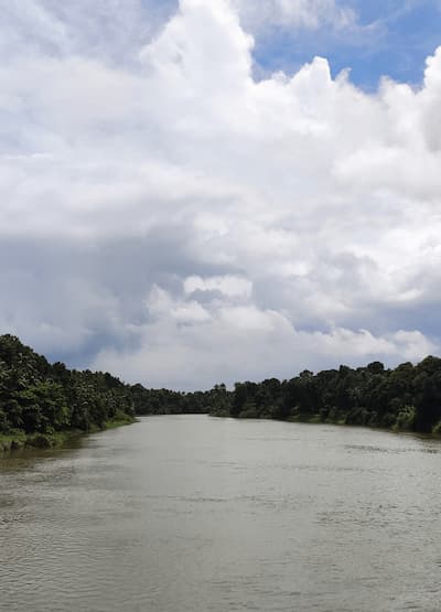 Piravom Nechoor River